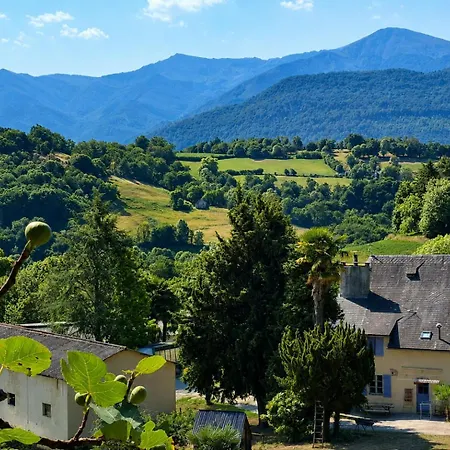 Hébergement de vacances De La Fontaine - Vallée D'ossau *